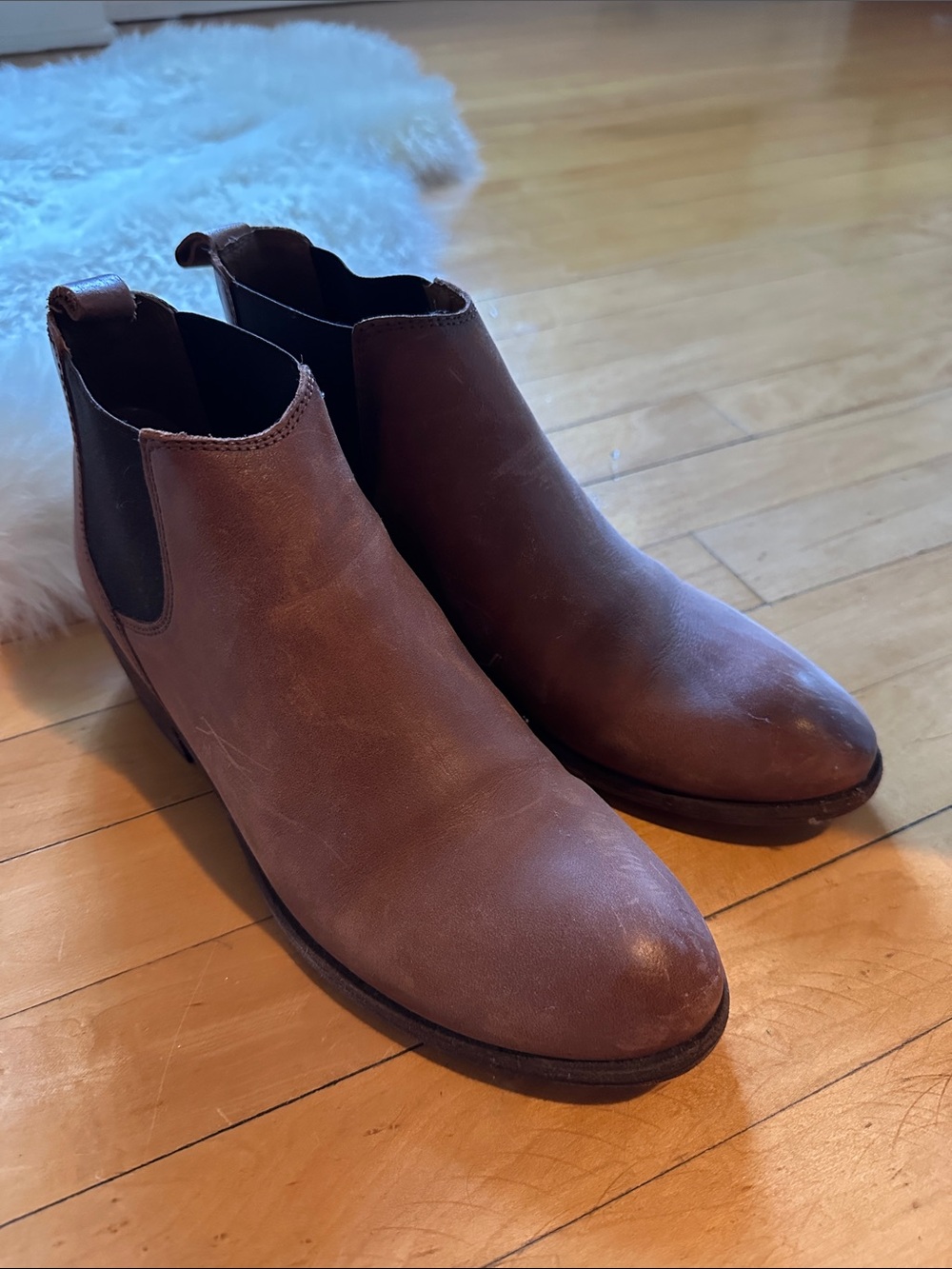 Women’s FRYE Carson Chelsea Ankle Boot- EUC